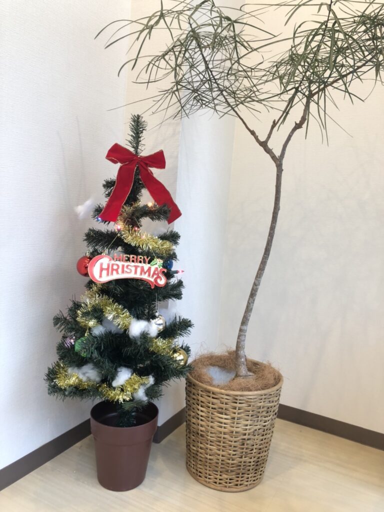 芦花パーク歯科のクリスマスの準備